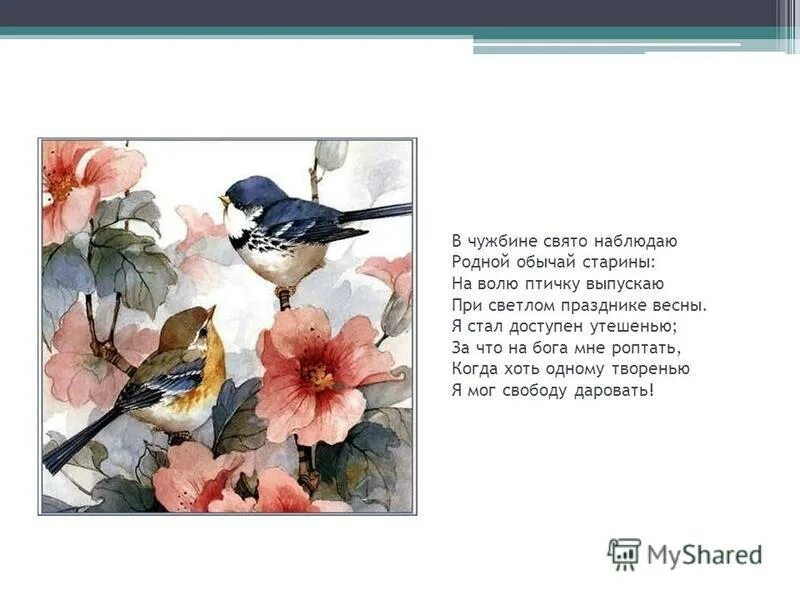 родной обычай старины светлый праздник. стихотворение пушкина птичка. на волю птичку выпускаю при светлом празднике весны стих. в чужбине свято соблюдаю родной обычай старины:. на волю птичку выпускаю пушкин.