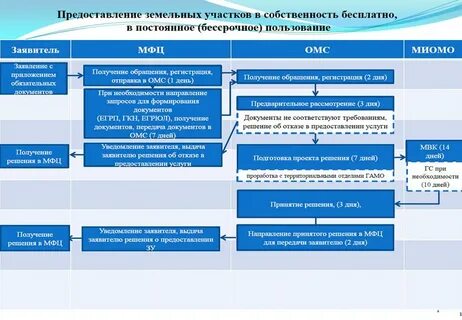 Предоставление лесного участка в собственность