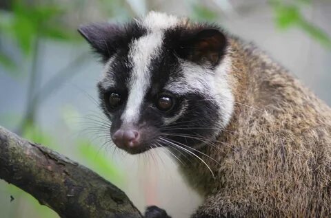 2016 年 03 月 11 日 台 北 訊) 