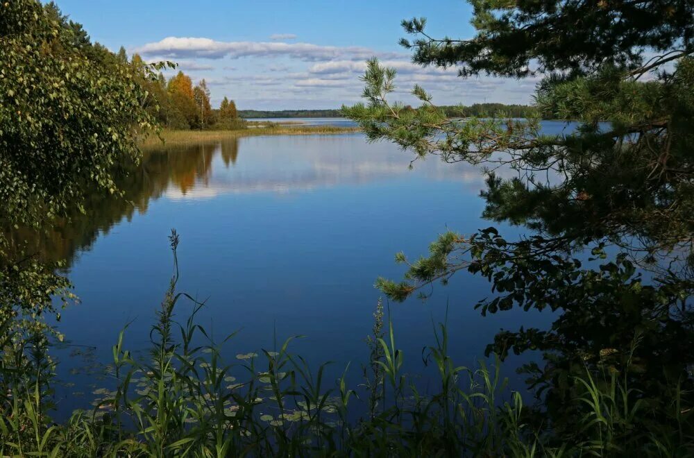Озера в новгородской области - Фото