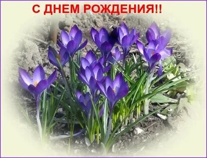 Поздравления с днем рождения родившимся весной