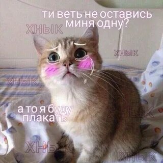 Плачу мило
