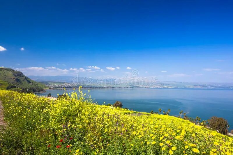 Природа галилеи. Природа галилеи. Природа галилеи. Капернаум галилейское море. Кинерет галилейское море.