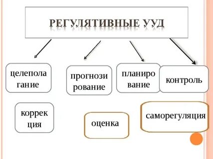 Регулятивные процессы