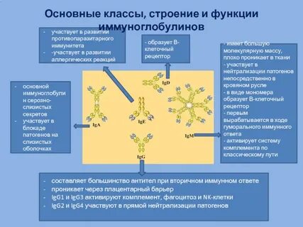 Какой комплекс обладает