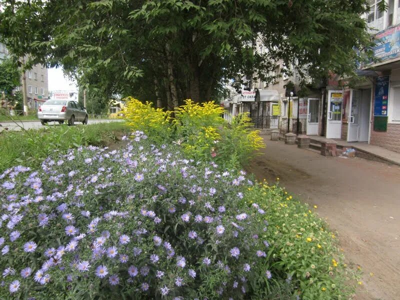 Улицы верещагино пермский край. Город Верещагино Пермский край. Верещагино ул Ленина. Городской парк города Верещагино. Улица Ленина город Верещагино.