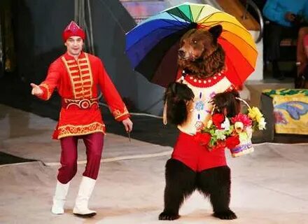 Плюсы цирка