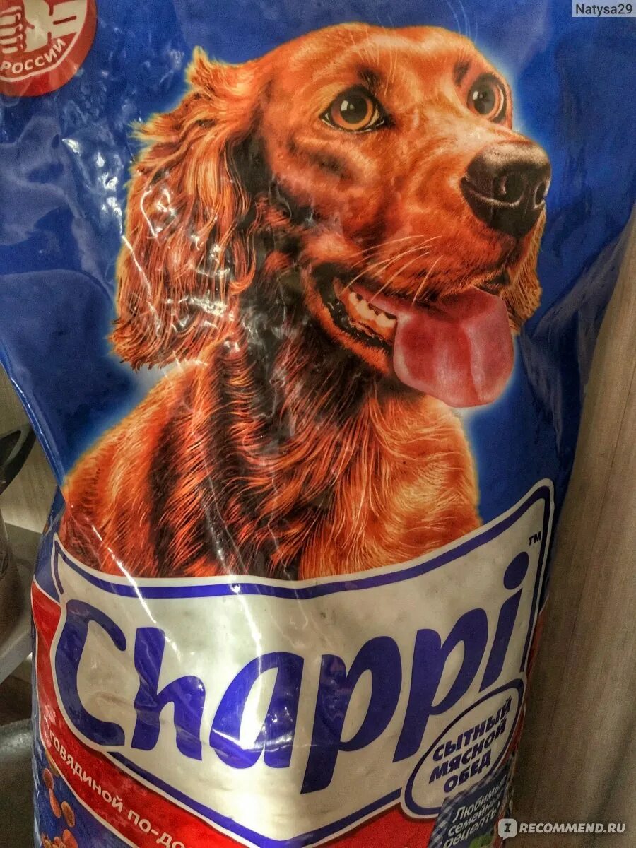 Собака на корме чаппи. Чаппи корм порода собаки. Чаппи Chappi корм для собак. Chappi корм для собак порода собак.