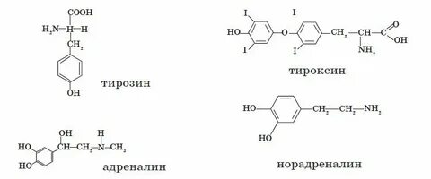 Тироксин адреналин