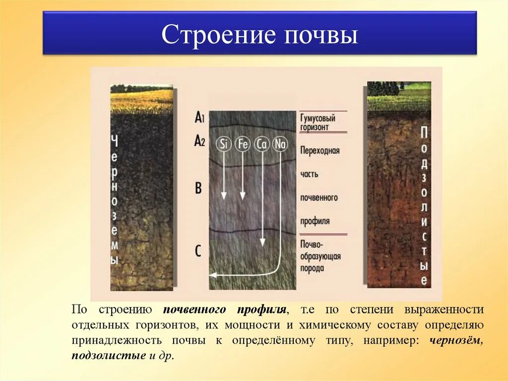 Почвы состав строение и структура. Плитчатая структура почвы. Строение почвы почвенные горизонты. Почвенный разрез чернозема выщелоченного. Состав почвы 6 класс география