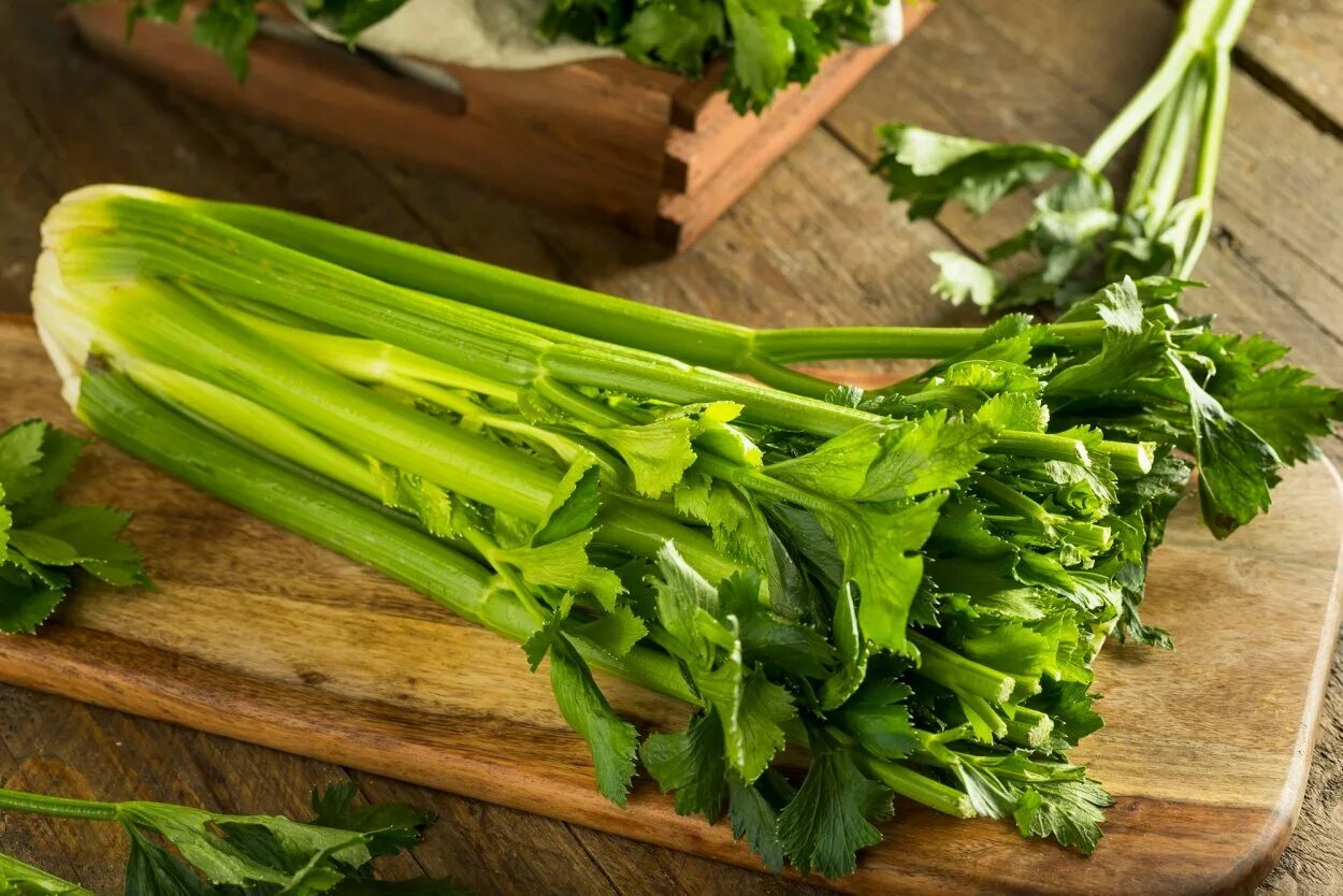 Celery scripts