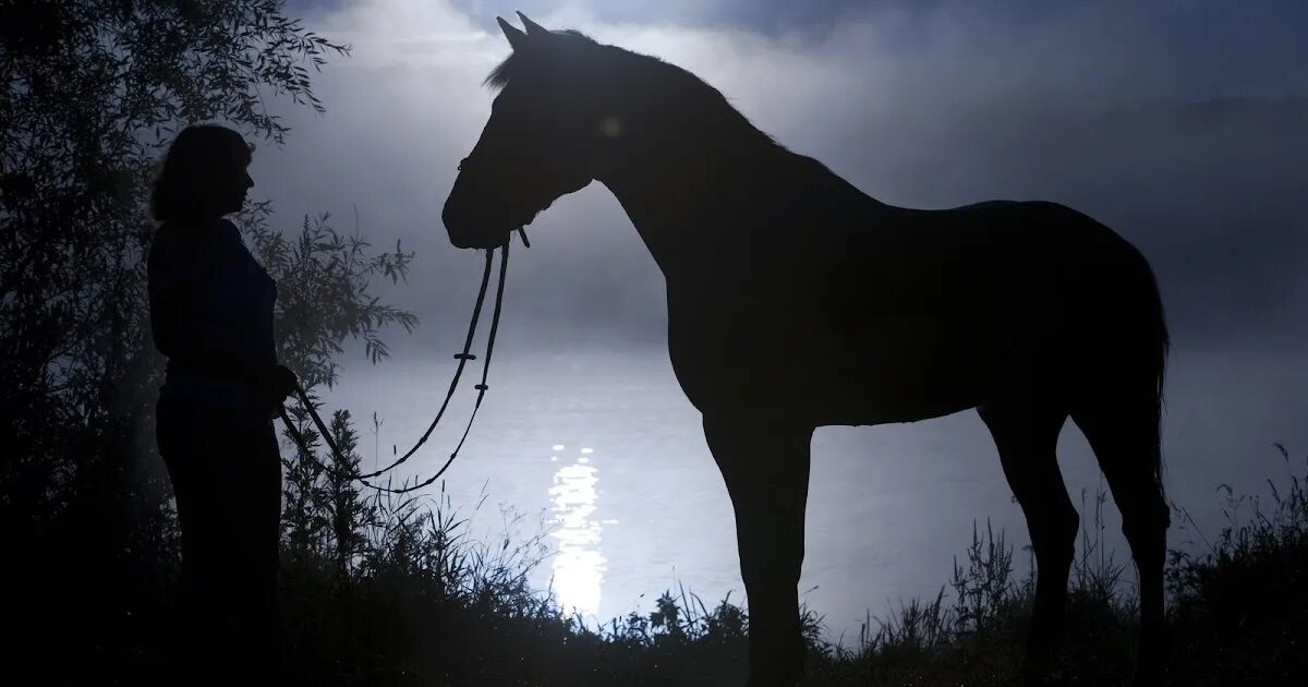 Лошадь в темноте. Глаза лошади в темноте. Страшная лошадь в темноте. Конь в темноте с человеком.