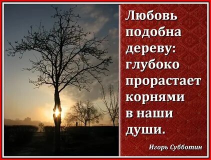 Подобно дереву