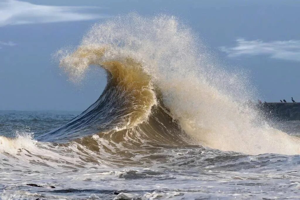 Ветер волны раздувает. Море, волны. Красота моря. Красивые волны. Сильные волны.