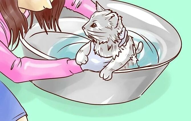 Мытье кошки. Кот в ванне. Помытый кот. Кот в ванне арт. Cat washing