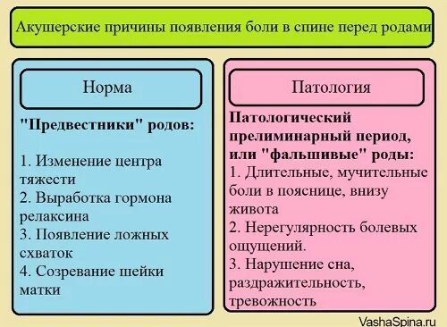 Роды боль поясница. Болит поясница перед родами. Локализация родовых схваток. Предвестники перед родами. Причины возникновения боли в родах.