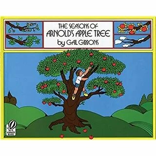 This is apple tree
