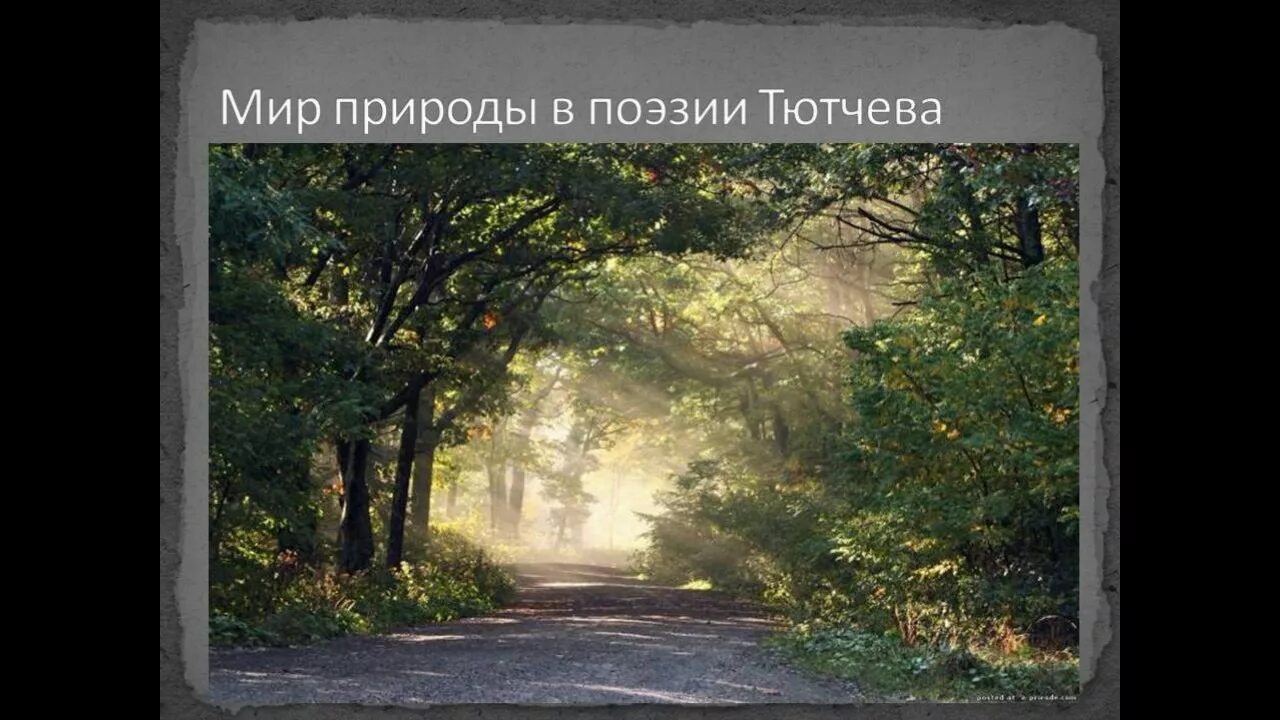 Стихотворение тютчева в душном воздухе молчанье. Тютчев в воздухе молчанье. федор тютчев — в душном воздуха молчанье. тютчев ф. и. - в душном воздуха молчанье…. тютчев стихи в душном воздухе молчанье.