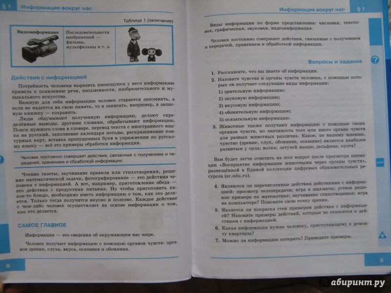 Информатика 5 класс 2023 год учебник. Информатика 5 класс параграф 5. Книга Информатика 5 класс. Учебник по информатике 5 класс. Информатика 5 класс босова параграф 11.