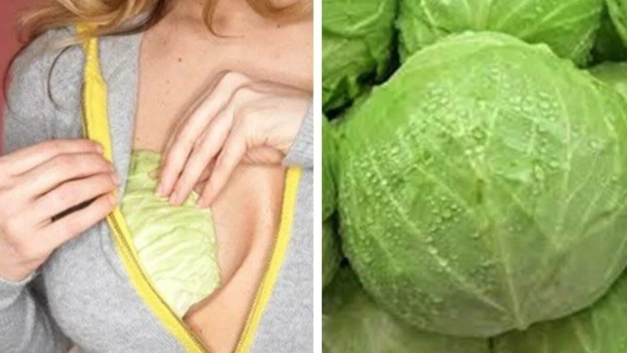 Капустный лист на грудную клетку. Капуста для бюста. капустный лист на грудь. компресс с капустным листом. капуста для грудных желез.