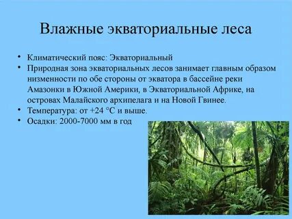 Климатические условия влажных экваториальных лесов