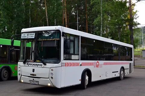 Сайт красноярских автобусов