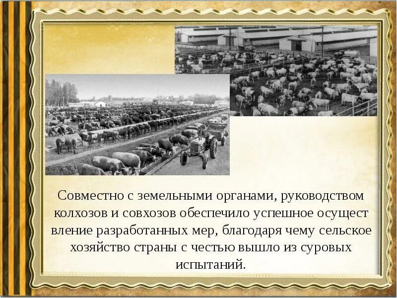 Колхоз и совхоз в чем отличие. Колхоз и совхоз в чем разница.