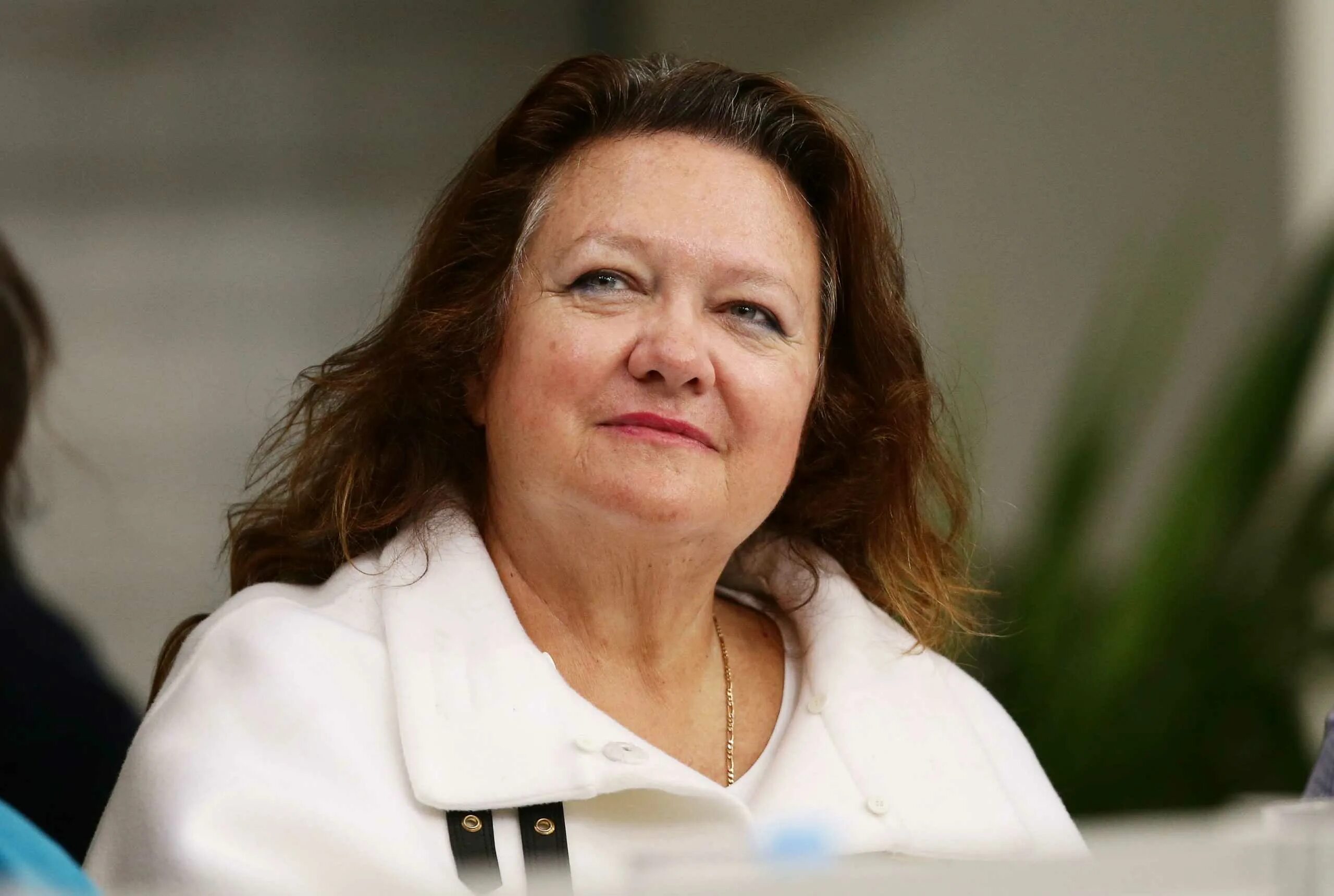 Джина Райнхарт. Джина Райнхарт Австралия. Gina Rinehart 2022. Покажи богатых женщин