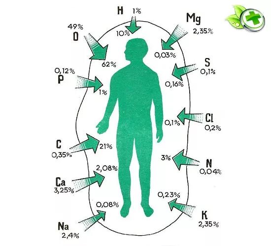 Элементы в теле человека. Элементы металлы в организме человека. Элементы металлы в организме человека и их биологическая роль. Тяжелые металлы в организме. Тяжелые металлы в организме человека.
