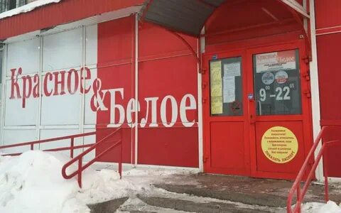 Бел березники