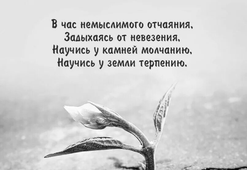 Молчание 6 букв. Отчаяние стихи. Отчаяние цитаты. Высказывания об отчаянии. Высказывания про молчание.