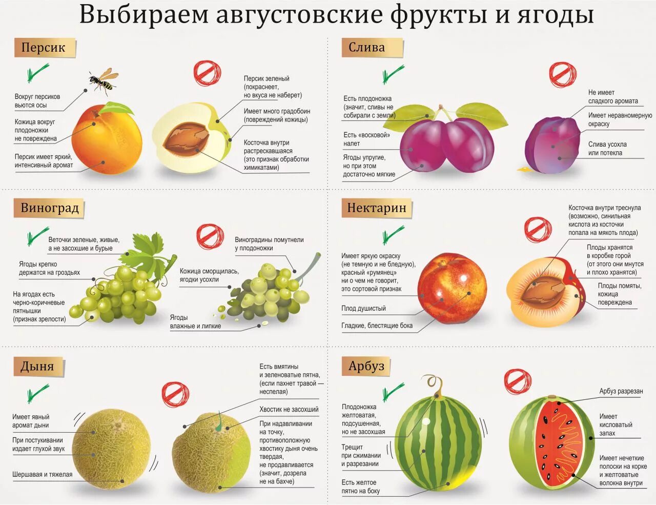 Полезные фрукты и овощи. Таблица полезных овощей и фруктов. Сезонные фрукты и ягоды. Полезные витамины в овощах и фруктах. Полезные вещества в фруктах