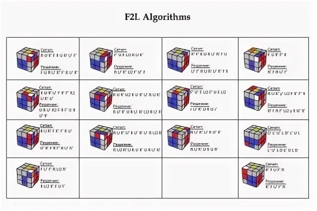 L algorithm