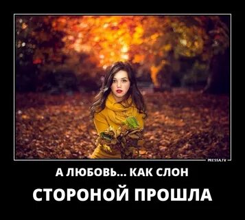 Немного злая