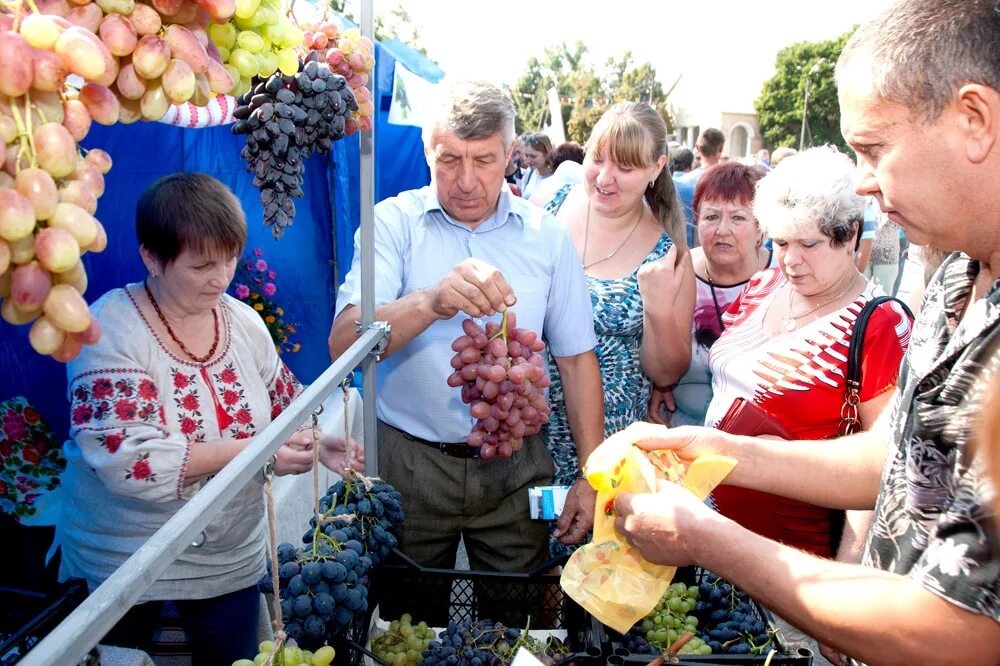 Ганжа александр сбу. Чугуев новости. Новости чугуева сегодня последние свежие. Чугуев город украина. Новости чугуева сегодня последние свежие.