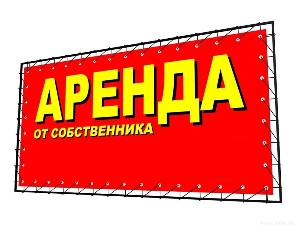 Сдается помещение в аренду баннер. Рекламный баннер. Аренда помещений реклама. Печать баннеров. Сдам фирму в аренду