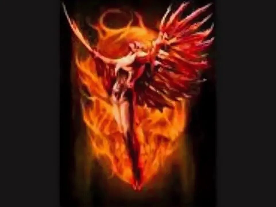 Rise into