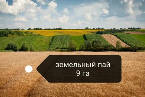 Продать паи на землю