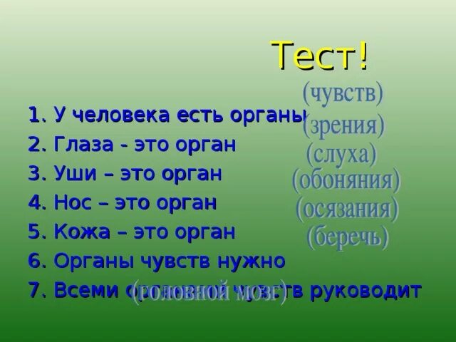 Сколько органов чувств у человека