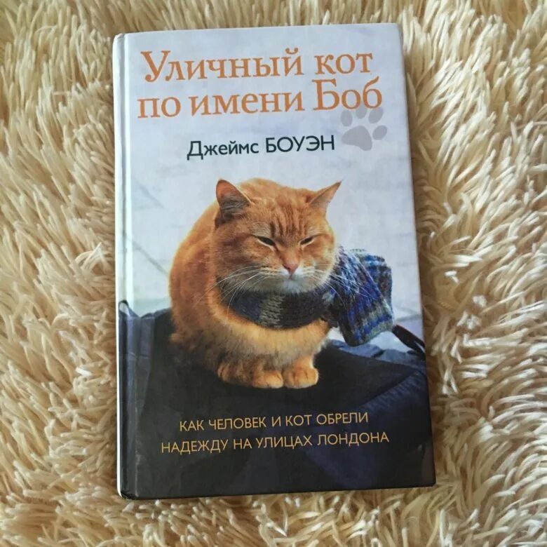 Читать боб. Уличный кот по имени боб книга. обложка книги уличный кот. книга бобы. бездомный кот по имени боб книга.