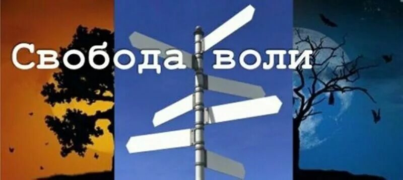 Свобода и воля в чем разница. Свобода воли. свобода воли и свобода выбора. свобода воли человека. свобода воли выбора.