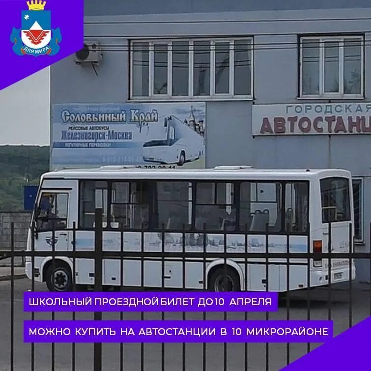 Гипермаркет линия железногорск курская область. Линия г железногорск. Линия г железногорск. Паз заречный. Автобусы железногорск курская область.