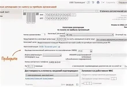 Получить копии налоговых деклараций