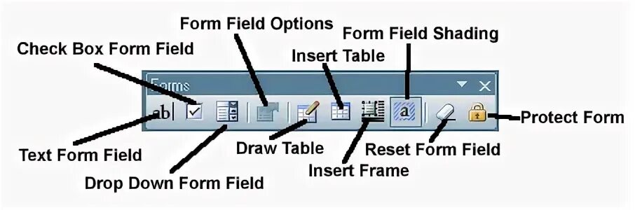 Form text number. Form text number