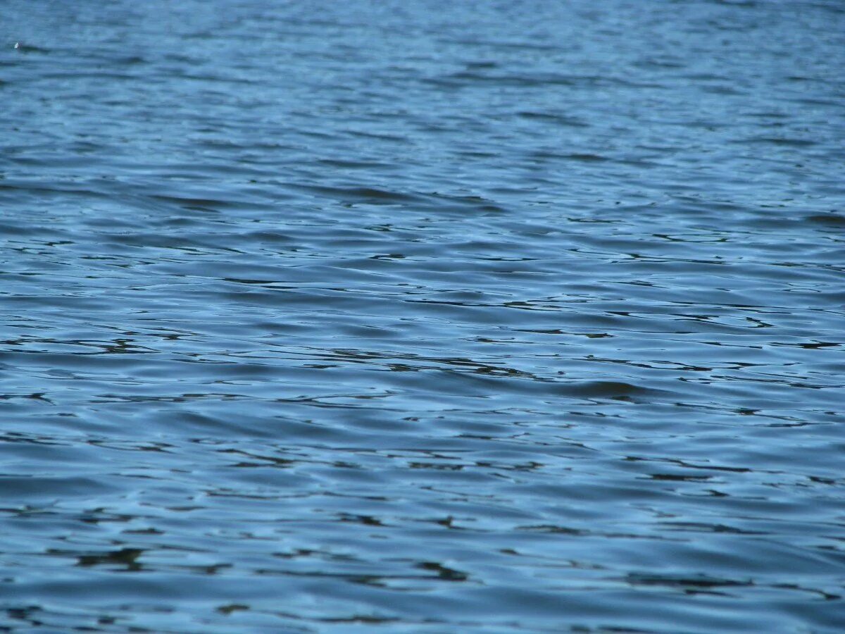 Силен вода. Рябь на воде. Мелкая рябь на воде. Морская зыбь. Вода озеро.