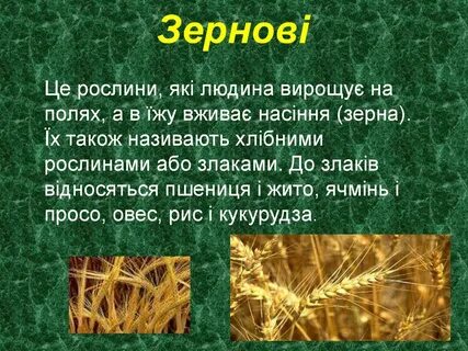 Проект о культурном растении