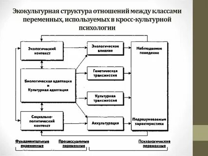 Социальная структура и отношения в японии