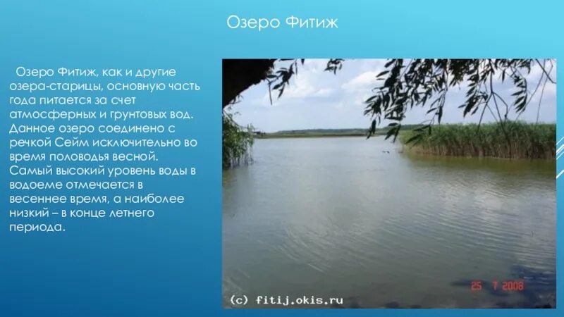 Температура сейма