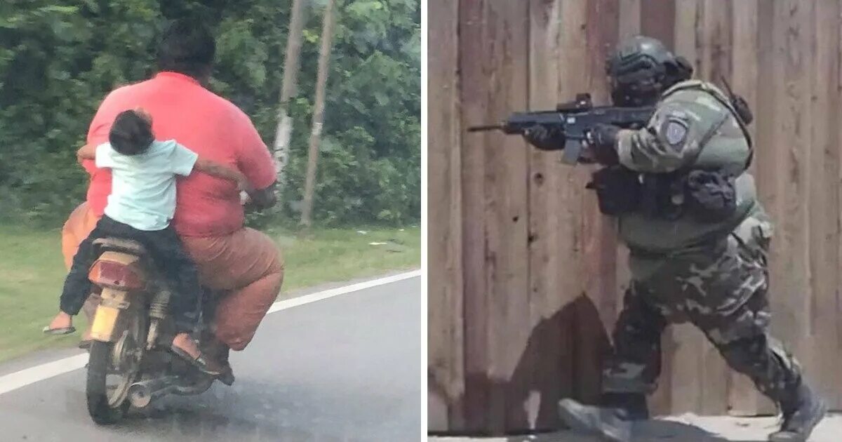 Жирный из боярда. Заринский пухляш. Умерший пухляш фото. Покойники в свадебных платьях. Кот пухляш.