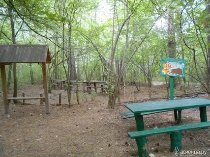 Тропаревский парк шашлыки